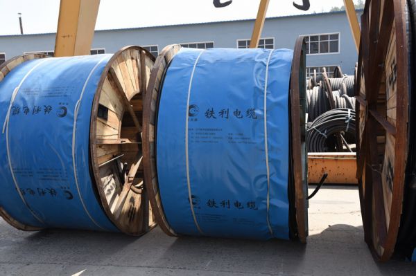 1463202577543319.jpg DSC_1147_調(diào)整大小.JPG