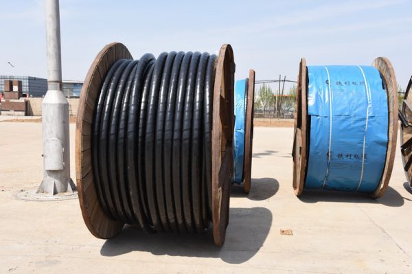 1463202593378163.jpg DSC_1146_調(diào)整大小.JPG