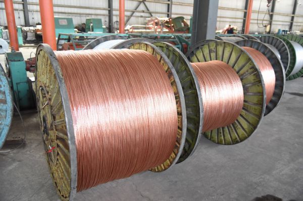 1463202618781026.jpg DSC_1145_調整大小.JPG